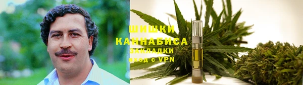 бошки Вязьма