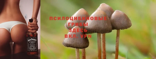 прущие грибы Майский