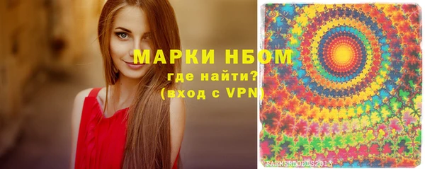 прущие грибы Майский