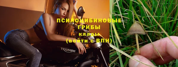 PSILOCYBIN Алексеевка